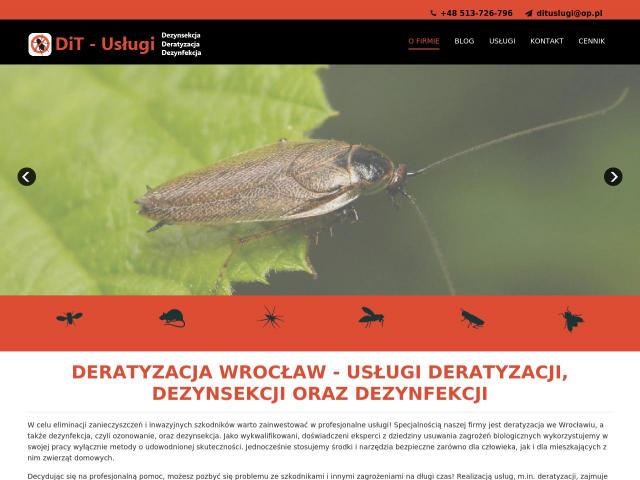 DiT-Usługi